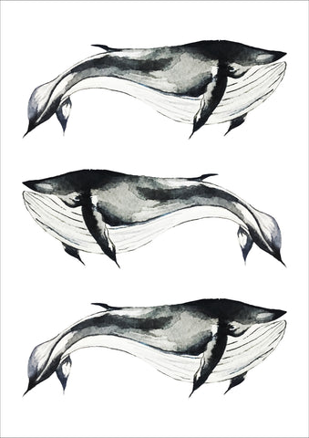 Whales Print